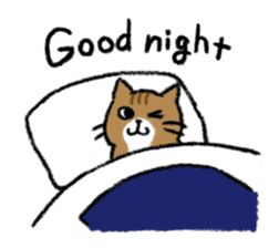 Good Night Meme Cute, Meme Good Night, Good Night Stickers, Cat Good Night, Goodnight Meme, Good Night Cute, Good Night Text, Good Night Meme, Good Night My Love