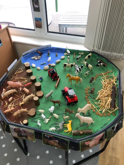 Sensory Preschool, Sensory Bin Play, Farm Theme Preschool, Continuous Provision, Preschool Classroom Decor, Farm Activities, Tuff Tray, Tray Ideas, Steam Activities