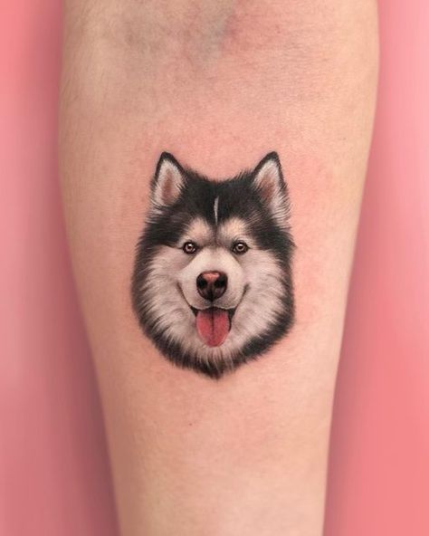 Husky Tattoo, Dream Tattoos, Pitbull, Husky, Tattoos, Quick Saves