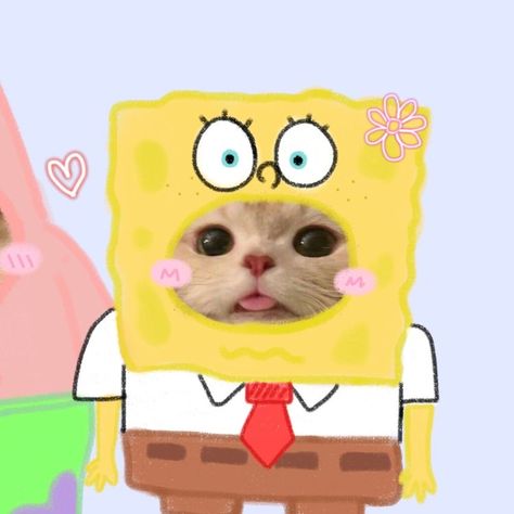 SpongeBob pfp 2/2 Spongebob Pfp, Teachable Moments, Couple Dp, Memory Lane, Tissue Boxes, Life Lessons