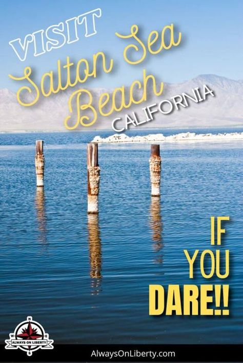 Why You Should Never Visit Salton Sea Beach! Salton Sea California, Salton Sea, Shell Beach, American Travel, Rv Life, Sea Beach, Your Shoes, Beach Town, Beautiful Places To Visit