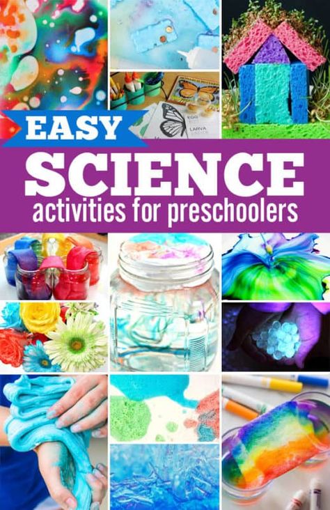 Discovery Science Activities, Easy Science Lessons For Preschool, Pre K Activities Science, Seasons Science Activities Preschool, Early Years Science Experiments, Science Discovery Preschool, Science Center Preschool Activities, September Science Experiments Preschool, Scientist Activities For Preschool