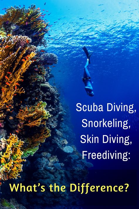 You have plenty of friends who don’t dive. Here’s how to explain to them the difference between scuba diving, snorkeling, skin diving and freediving. Thailand Activities, Koh Samui Beach, Skin Diving, How To Explain, Cave Diving, Best Scuba Diving, Scuba Diving Gear, Thailand Beaches, Maui Vacation