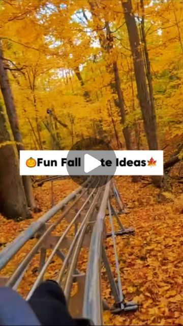 Step Out Buffalo on Instagram: "From pumpkin patches to cozy bonfires and cider, here are some fun fall date ideas to spice up the season! 🍂✨

📍Mountain Coaster - Holiday Valley 

📍Cider Mill and warm donuts - Mayer Bros

📍Pumpkin patch picking - The Great Pumpkin Farm

📍Fall Foliage Train Ride - Arcade Trail 

📍Niagara Wine Trail 

Check out the full article on our website for more cute and fun ideas!!!🎃🍁

#wny #buffalo #fun #stepoutbuffalo #nys #niagrafalls #buff #buffalo #buffalony #buffalo #westernnewyork #thingstodo #happyhour #buffalonygram #capturebuffalo #explorebuffalo #adventures #fall #fallvibes #spookyseason #datenight #dateideas #stepoutbuffalo #sob" Fall Dates, Buffalo Ny, Pumpkin Farm, Wine Trail, Train Rides, Fall Foliage, Fall Fun, Fall Vibes, Spice Things Up