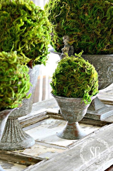 Diy Moss Ball, Topiary Diy, Moss Ball, Moss Decor, Moss Garden, Moss Balls, Spring Crafts, Spring Wreath, Easter Decorations