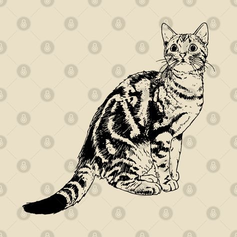 Vintage Tabby Cat Looking Up Design, Attentive Cat, Realistic Cat Drawing, Cat Line Drawing - Cat Line Art - T-Shirt | TeePublic Tabby Cat Tattoo, Tabby Cat Drawing, Realistic Cat Drawing, Cat Line Drawing, Cats Drawings, Cat Line Art, Maching Tattoos, Drawing Wall, Cat Doodle