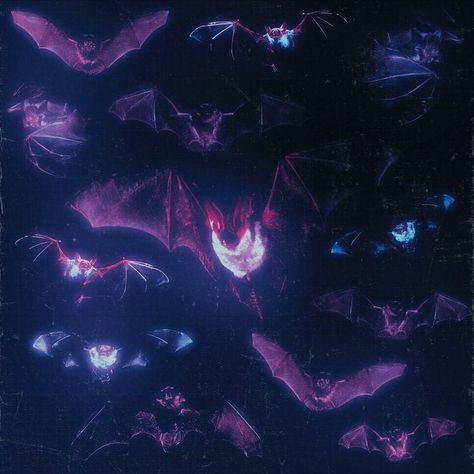 Bats Aesthetic, Bat Aesthetic, Aesthetic Tumblr, Night Sky, Bat, Instagram Profile, Tumblr, Purple, On Instagram