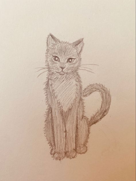 Cat Doodle Sketch, Fluffy Cat Sketch, Silly Cat Doodles Drawing, Silly Cat Drawing Sketch, Confused Cat Doodle, Simple Cat Drawing, Art Assignments, Cat Doodle, Cute Sketches