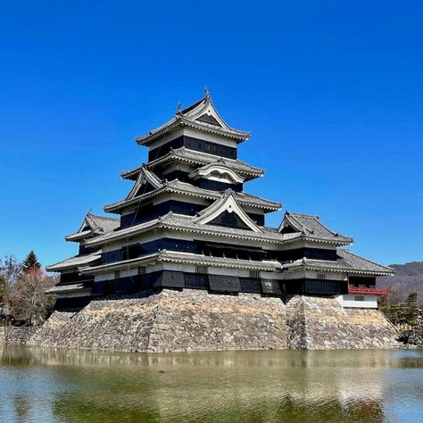 Between Nagano City and surrounding communities like Matsumoto and Obuse, there is much to explore in the Nagano Prefecture. Fall Drive, Spring In Japan, Day Trips From Tokyo, Paris Markets, Petrified Forest National Park, Nagano Japan, Fossilized Wood, Route 66 Road Trip, Petrified Forest