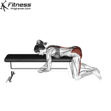 Ideal Routine, Reverse Hyperextension, Erector Spinae, Muscle Building Workout Plan, Emom Workout, Free Workout Plans, Hip Exercises, Gym Plan, Monday Workout