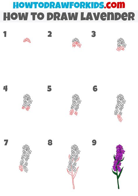 how to draw lavender step by step Draw Lavender Step By Step, Lavender Flower Drawing, Draw Lavender, Flowers To Draw, Art Steps, Nature Sketches, Useful Skills, Doodle Flowers, Draw Flowers