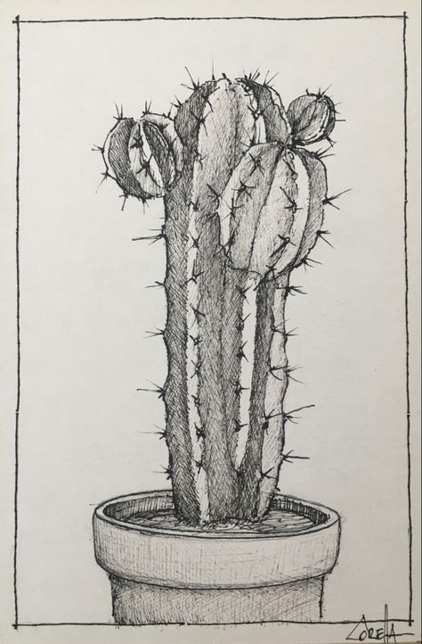 Cactus Pen Drawing, Cactus Drawing Pencil, Cactus Ink Drawing, Realistic Cactus Drawing, Drawing Of Cactus, Painting Ideas For Nursery, Plant Sketch Pencil, Sketch Cactus, Painting Ideas On Canvas Nature