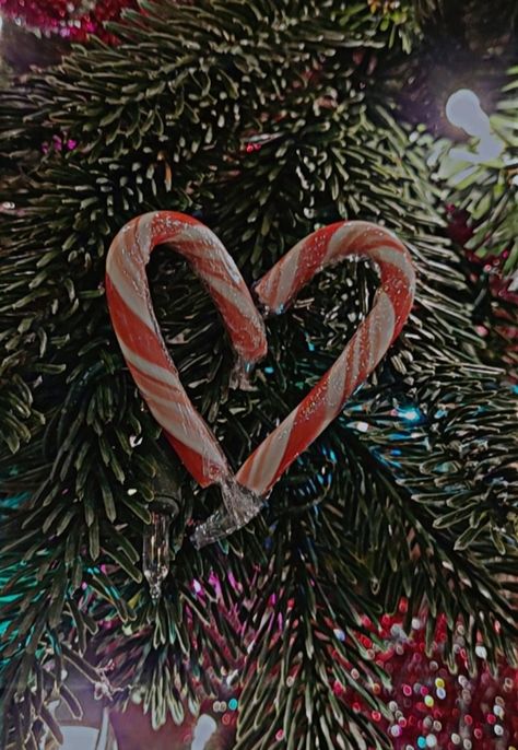 Candycane Wallpaper Aesthetic, Christmas Aesthetic Background, Aesthetic Background Wallpaper, Seasonal Aesthetic, Heart Christmas Tree, Candy Cane Heart, Christmas Widgets, Book Mood, Lights Winter