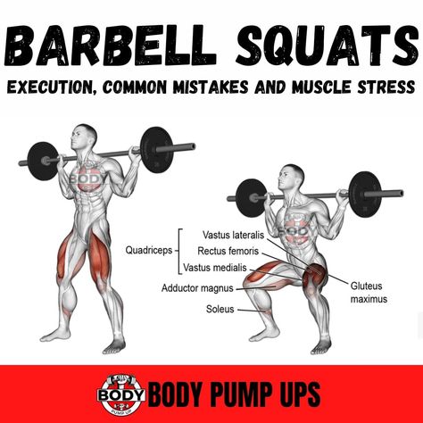 Barbell Squat

If there is only one exercise you want to do for leg exercises, then it should be Squats. Nothing comes close to squat exercises to build muscle mass and tone the legs muscles.

The barbell squat is the king of all exercises, the only challenger being the barbell deadlift.
Follow me @bodypumpup 

#legworkout #legpress #legextension #legcurl #gymworkouts
#hacksquats #barbellsquat #squat #barbellleg #legworkouts #legworkoutday #workoutathome #workout #extensions #exerciselegs Squats Barbell, Squats Muscles Worked, Bigger Legs Workout, Legs Muscles, Exercises To Build Muscle, Squat Exercises, Anatomy Muscles, Types Of Squats, Barbell Deadlift