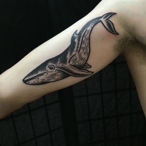 Minke Whale Tattoo by Dan Morris American Traditional Whale Tattoo, Whale Tattoo Traditional, Ocean Sleeve, Minke Whale, Whale Tattoo, Whale Tattoos, Tattoo Traditional, American Traditional, S Tattoo