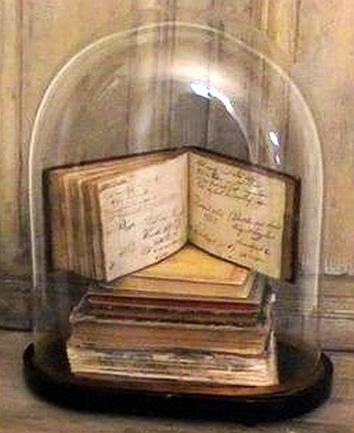 Beautiful display of old books under a glass dome. Glass Domes Ideas, Glass Dome Decor Ideas, Glass Cloche Decor, Antique Glass Domes, Cloche Ideas, Cloche Decor, Bell Jars, Glass Dome Cloche, Jar Display