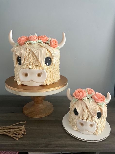 Highland Cow Birthday Cake Ideas, Cow Birthday Cake Ideas, Highland Cow Birthday Cake, Highland Cow Cake, Highland Cow Birthday, Birthday Cake Buttercream, Cow Birthday Cake, Cow Cake, Cow Cakes