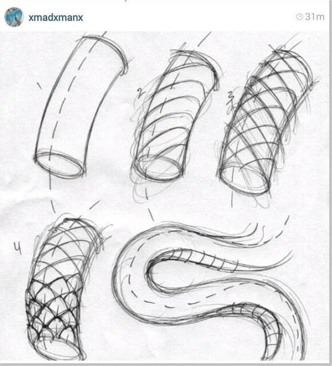 Ball Python Reference, Coiled Snake Drawing Reference, Snake Head Tutorial, Snake Body Reference, Snake Pose Reference, Snake Poses Reference, Snake Tail Drawing, Snake Side Profile, How To Draw Snake Scales