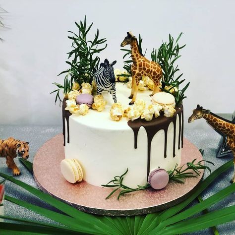 Africa Cake Ideas, Buttercream Safari Cake, Simple Safari Cake, Safari Pasta, Zoo Birthday Cake, Safari Birthday Cake, Africa Cake, Cheetah Birthday Party, Cheetah Cakes