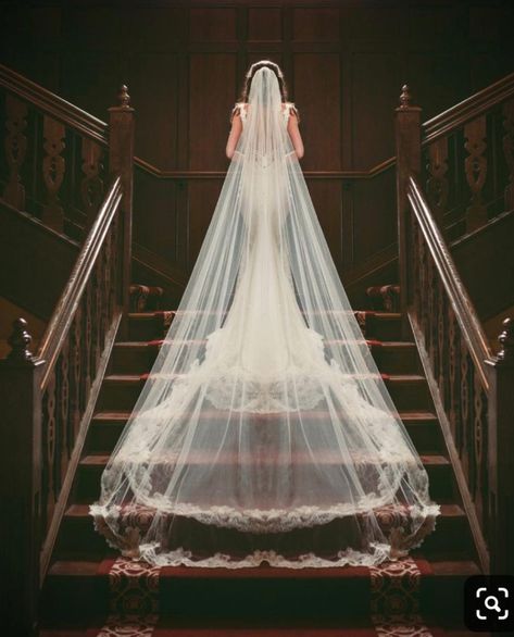 Wedding Dress And Veil, Wedding Dress Veil, Wedding Picture Poses, Bridal Pictures, Wedding Dress With Veil, Wedding Photography Styles, Wedding Photos Poses, Bridal Photography, Wedding Photography Poses