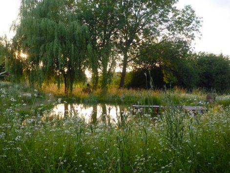 . Romantic Gardens, Wildlife Pond, Wild Flower Meadow, Pond Landscaping, Natural Pond, Duck Pond, Garden Photography, Garden Landscape Design, White Gardens