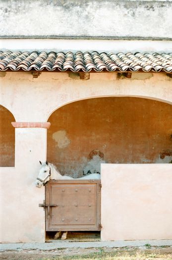 Hacienda las Trancas Stables | photography by http://www.jenlynnephotography.net Stable Yard, Equestrian Stables, Spanish Hacienda, Dream Horse Barns, Horse Barn Plans, Horse Barn Ideas, Spanish Mediterranean, Barn Plans, Dream Barn