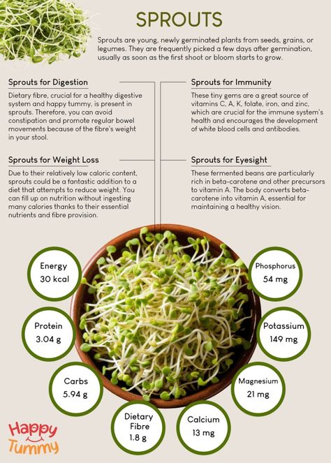 The Nutrient-Rich Benefits of Sprouts - Happytummy Sprouts Benefits, Better Digestion, Healthy Eyes, Gluten Intolerance, Fiber Foods, Foods To Avoid, Healthy Digestion, Dietary Fiber, Food Festival