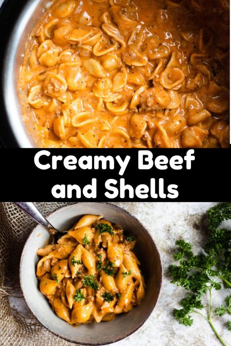 Creamy Beef And Shells, Beef And Shells, Instapot Meals, Supper Tonight, Cream Sauce Pasta, 20 Minute Dinners, Instant Pot Pasta Recipe, Roasted Tomato Sauce, Beef Pasta