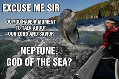 Neptune, God of the sea :-)  I am assuming Jesus wouldn't approve of the way we treat them. Dolphin Memes, Good Day Sir, Funny Dolphin, Good Morning Funny Pictures, Oh My Goddess, Morning Humor, Morning Pictures, Funny Funny, Picture Captions