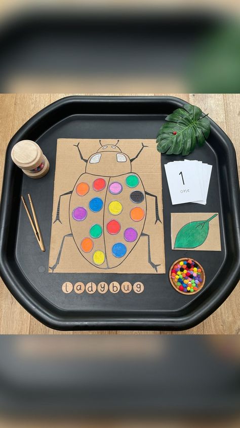 creative_mama_che on Instagram: Ladybug counting tray 🐞 I don’t know if you are anything like us, but now that my son is 6.5 he isn’t as interested in my play trays as… Tuff Tray Activities, Ladybug Counting, Nursery Activities, Tuff Tray, I Don T Know, Don T Know, My Son, Lunch Box, Tray