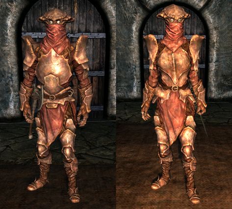 Chitin Heavy Armor | Elder Scrolls | FANDOM powered by Wikia Chitin Armor, Skyrim Armor Sets, Nightingale Armor, Elder Scrolls Morrowind, Skyrim Armor, Armor Pieces, Light Armor, Creature Character, Heavy Armor