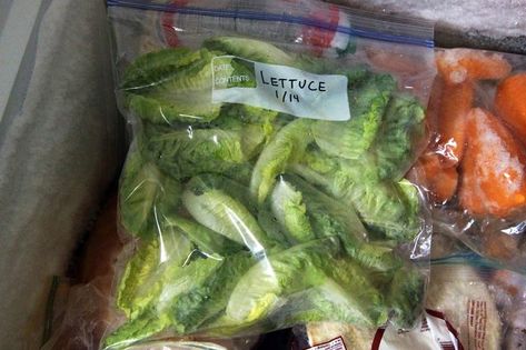 How to Freeze Lettuce Leaves Storing Lettuce, Lettuce Recipes, Freezing Vegetables, Healthy Holistic Living, Growing Lettuce, Frozen Veggies, Lettuce Leaves, Freezer Cooking, Romaine Lettuce