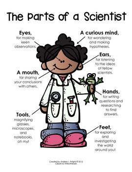 Poster:  "The Parts of a Scientist"  {One of the posters in my Melonheadz version of this set.}  30 pages, $ What Is A Scientist, Engineering Life, Summertime Activities, Makerspace Ideas, Science Board, Science Anchor Charts, Science Decor, Rainbow Classroom, 1st Grade Science