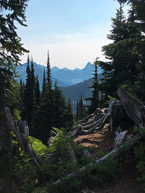 Forest Washington, Rainy Lake, Forest Hiking, Cascades National Park, Cascade National Park, Wilderness Camping, North Cascades National Park, Model Train Scenery, Senior Trip