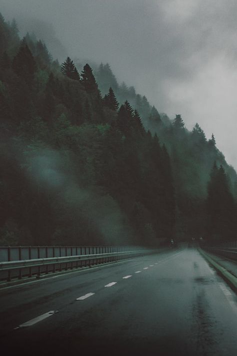 Highway Near Pine Trees Under Gray Cloudy Sky Road Nature, Road At Night, Dark Forest Aesthetic, Aesthetic Landscape, Twilight Photos, Dark Street, Fantasy Island, Forest Road, Dark Paradise