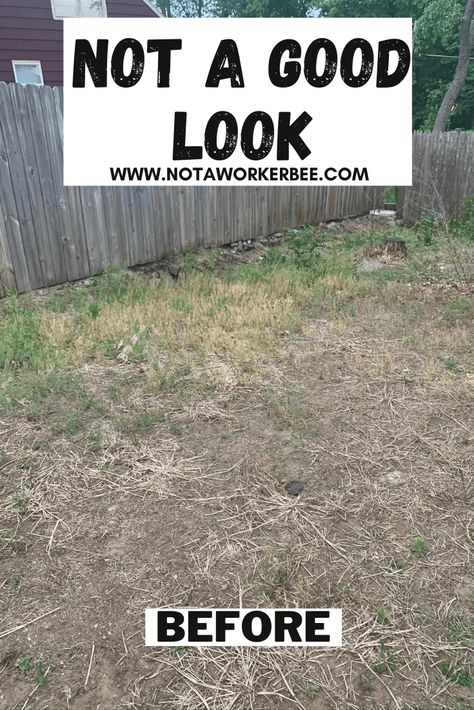 My Amazing $30 Yard Makeover Tutorial - Not a Worker Bee Leveling Yard, No Grass Yard, Mulch Yard, Easy Diy Landscaping, Lawn Edging Ideas, Landscaping Hacks, Grass Edging, Cool Things To Build, Yard Makeover