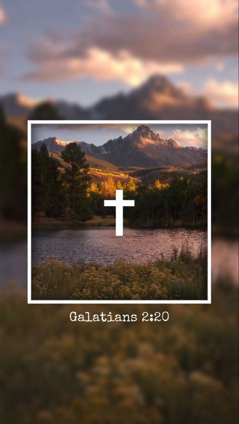 Galatians 2 20 Wallpaper, Biblical Art, God Is Good, Bible, Quick Saves, Art