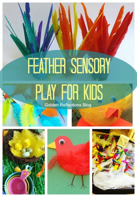 6 fun feather sensory play ideas for kids. www.GoldenReflectionsBlog.com Play Ideas For Kids, Sensory Play Ideas, Sensory Items, Sensory Tub, Play For Kids, Preschool Centers, Sensory Crafts, Sensory Art, Kids Part