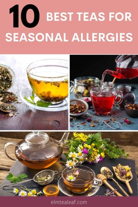 Tea For Allergies, Allergy Tea, Hay Fever Symptoms, Seasonal Allergy Symptoms, Licorice Tea, Fever Symptoms, Best Teas, Tulsi Tea, Lemon Balm Tea