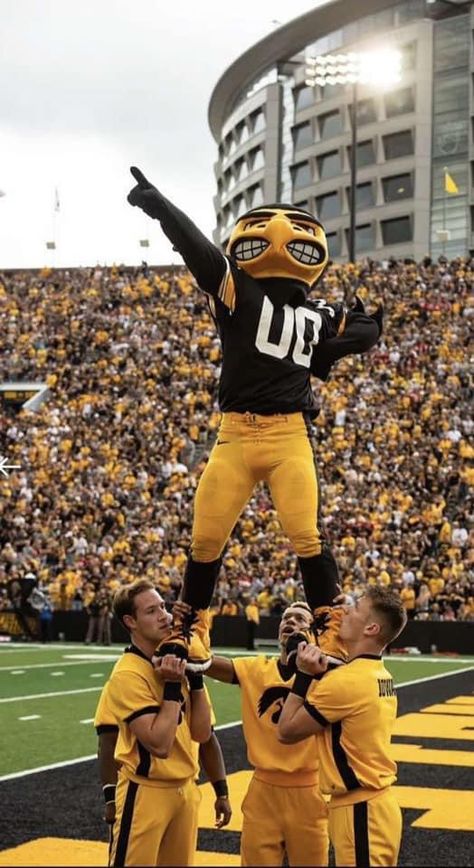 Iowa Hawkeyes Wallpaper, Iowa Hawkeyes Football, Iowa Hawkeye Football, Hawkeye Football, Dream Collage, Beach Wall Collage, Iowa Hawkeye, Football Stars, Dream College