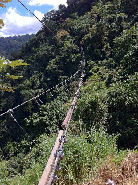 Riding the World's Highest Zipline in Puerto Rico Caribbean Honeymoon, Puerto Rico Trip, Nature Park, Rock Face, A Monkey, Island Travel, Extreme Sports, Puerto Rican, Caribbean Islands