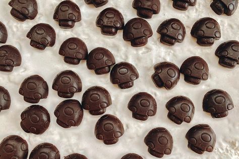 Magic Mushroom Recipe, Mushroom Chocolate, Cannibis Recipes, Mushroom Varieties, How To Temper Chocolate, Ancient Recipes, Food Thermometer, Chocolate Diamonds, Chocolate Hazelnut