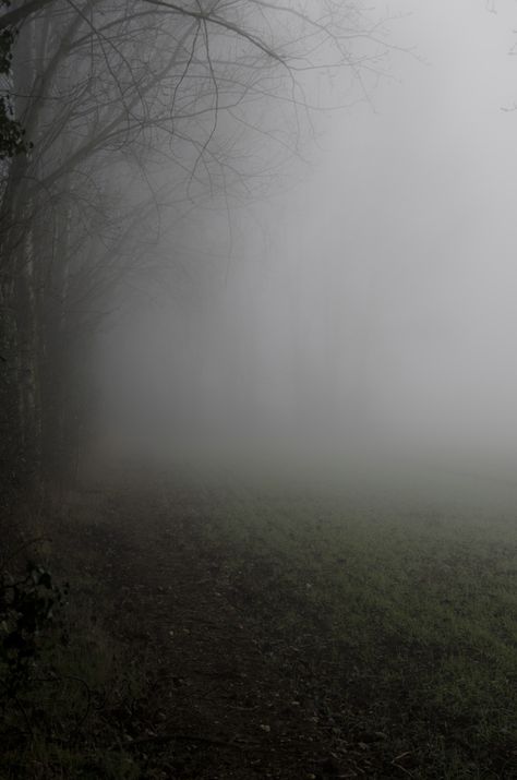 Fog....... Dense Fog, Cloudy Weather, Cinematic Photography, Dark Forest, Aesthetic Photography, Art Techniques, Painting Inspiration, Beautiful Photo, Beautiful Pictures