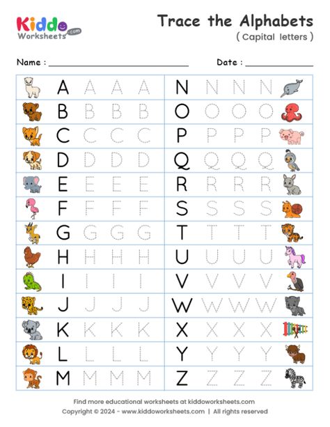 Free Printable Capital Letter Tracing Worksheet - kiddoworksheets Prek Letter Worksheets Free Printables, Letter Recognition Worksheets Free, Printable Learning Materials For Kids, Learning To Write Preschool, Trace Letters Preschool Free Printable, Tk Worksheets Free Printable, Free Preschool Worksheets Free Printables, Preschool Writing Printables, Tracing Worksheets Preschool Free Printable