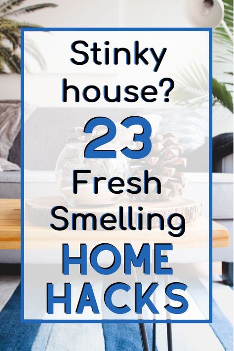 Life Hacks Iphone, Cleaning Painted Walls, House Smell Good, Homemade Cleaning Solutions, Diy Cleaning Hacks, Deep Cleaning Tips, Essential Oil Diffuser Blends, Household Cleaning Tips, House Smell