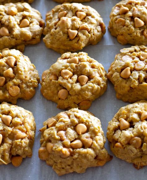 These Pumpkin Oatmeal Scotchies are a pumpkin twist on your classic oatmeal butterscotch cookies. Full of fall spices these cookies smell like a dream while you bake them. #pumpkin #oatmeal #scotchies #dessert #recipe #fall Pumpkin Butterscotch Cookies, Oatmeal Butterscotch, Oatmeal Scotchies, Pumpkin Butterscotch, Oatmeal Butterscotch Cookies, Pumpkin Puree Recipes, The Girl Who Ate Everything, Butterscotch Cookies, Fluff Desserts