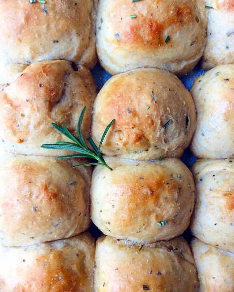 Rosemary Dinner Rolls, Rosemary Rolls, Rosemary Dinner, Whole Wheat Rolls, Wheat Pizza Dough, Savory Breads, Rosemary Bread, Thanksgiving Plates, Whole Wheat Pizza