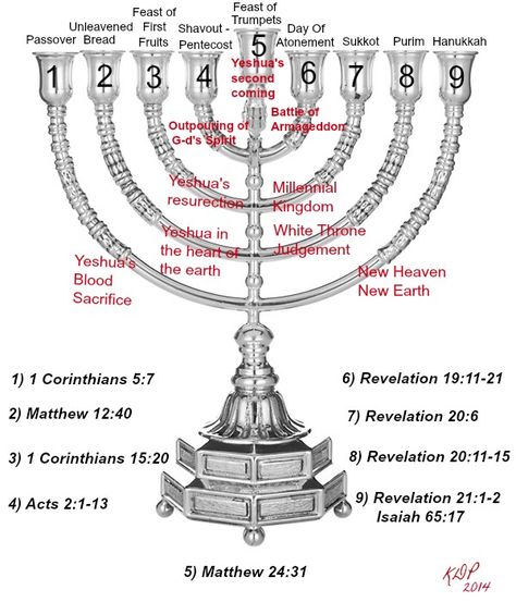 The Messianic Prophetic Branches of the Hanukkah Menorah and the first Seven are the appointed Feasts of Elohim. The first four have been fulfilled. Jewish Beliefs, Messianic Judaism, Messianic Jewish, Menorah Candles, Sejarah Kuno, Revelation Bible, Biblical Hebrew, Bible Study Topics, Bible Study Help