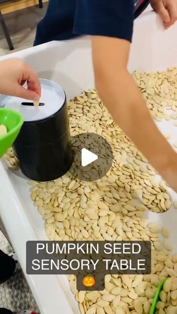 Jamie White on Instagram: "Dry roasted, unsalted pumpkin seeds are a fun sensory table base for fall! Add-in options:
- tongs and scoops
- piggy banks (look at those fine motor skills) 😍
- pie crusts, measuring cups, whisks (Pretend to make a pumpkin pie!) 🥧

Need more pumpkin inspiration? 🎃 Comment "PUMPKIN" below for some printable pumpkin activities! 👋

#PreschoolTeacher #PlayMatters #PlayMore #PlayIsEnough #PreKTeachers #PlayBasedLearning #EarlyChildhoodEducation #LearningThroughPlay #PreschoolActivities #PreKClassroom #PreschoolPlay #ChildhoodEducation #TeacherTips #PreschoolIdeas #PreschoolInspiration #SensoryTable #SensoryBin" Thanksgiving Provocations, Fall Sensory Table, Jamie White, Pumpkin Inspiration, Prek Classroom, Pumpkin Activities, Playbased Learning, Pie Crusts, Sensory Table