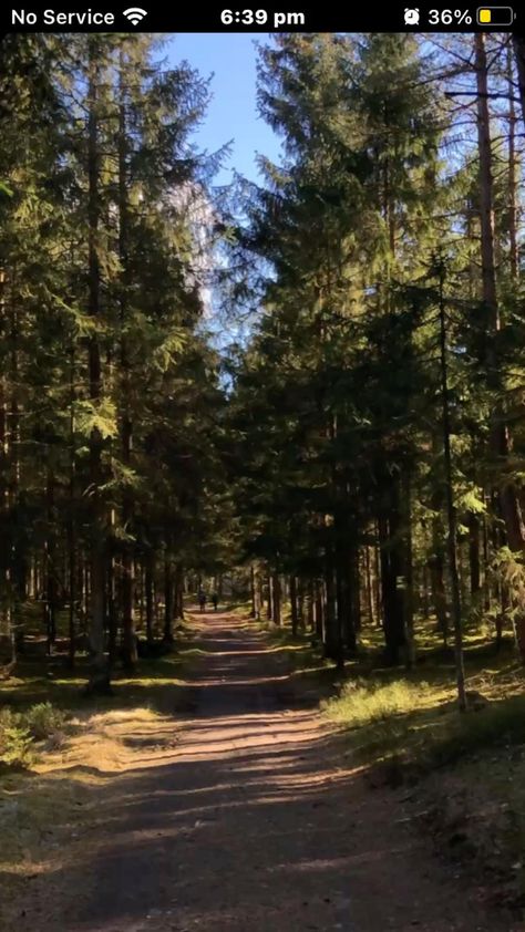 Trendy Hairstyles, You've Been, Your Style, Forest, Hairstyles, Road, Nature